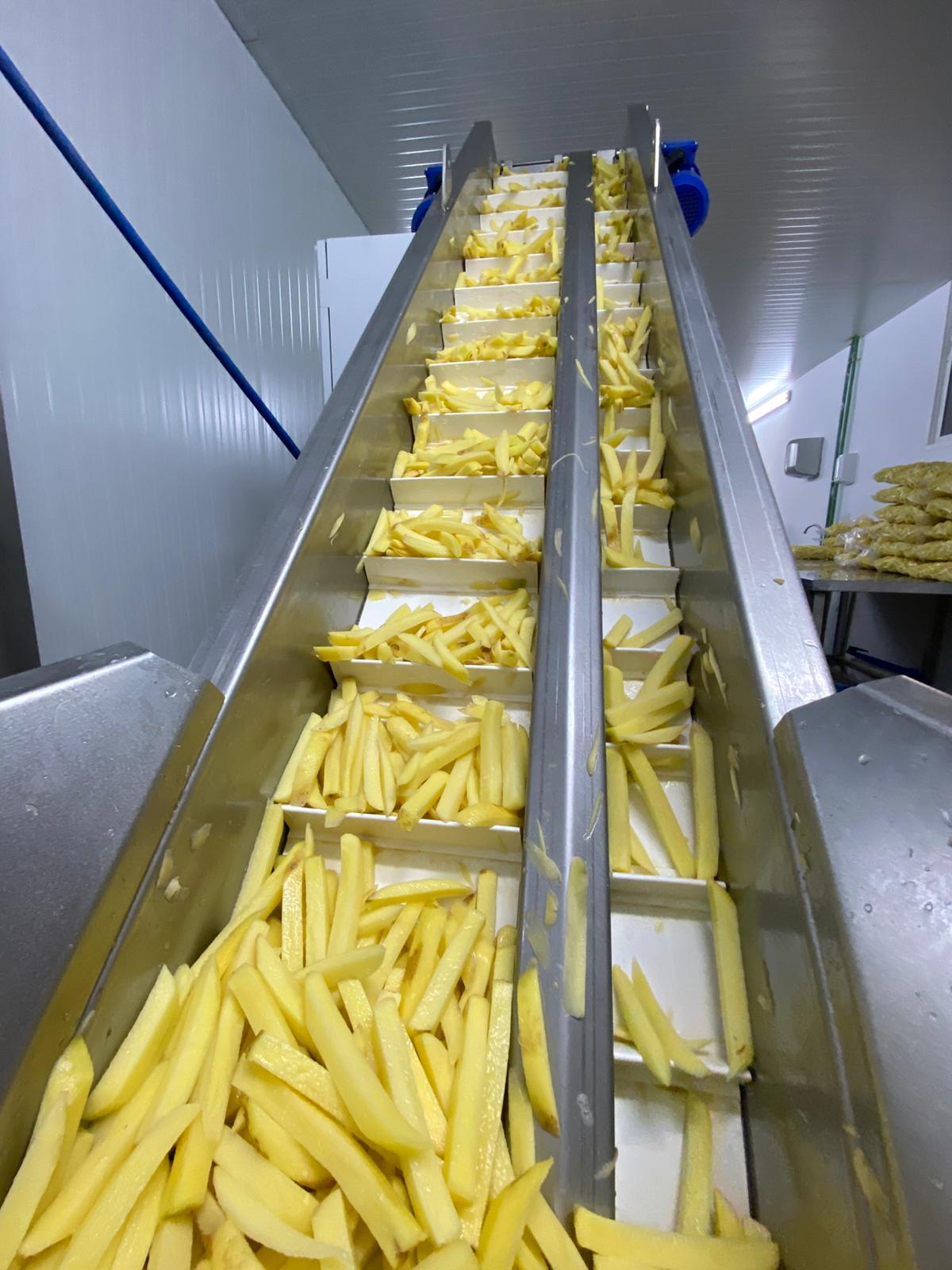 Linea de producción - patatas la peleona